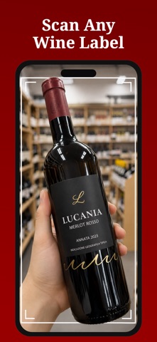 Pour camera screen for scanning a wine label